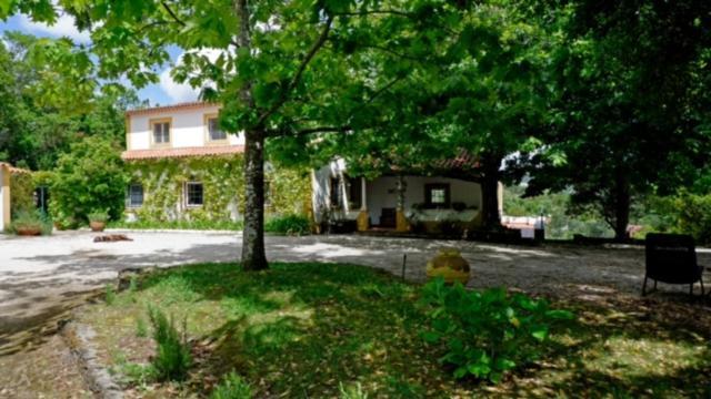 Gospodarstwo agroturystyczne Quinta Do Troviscal